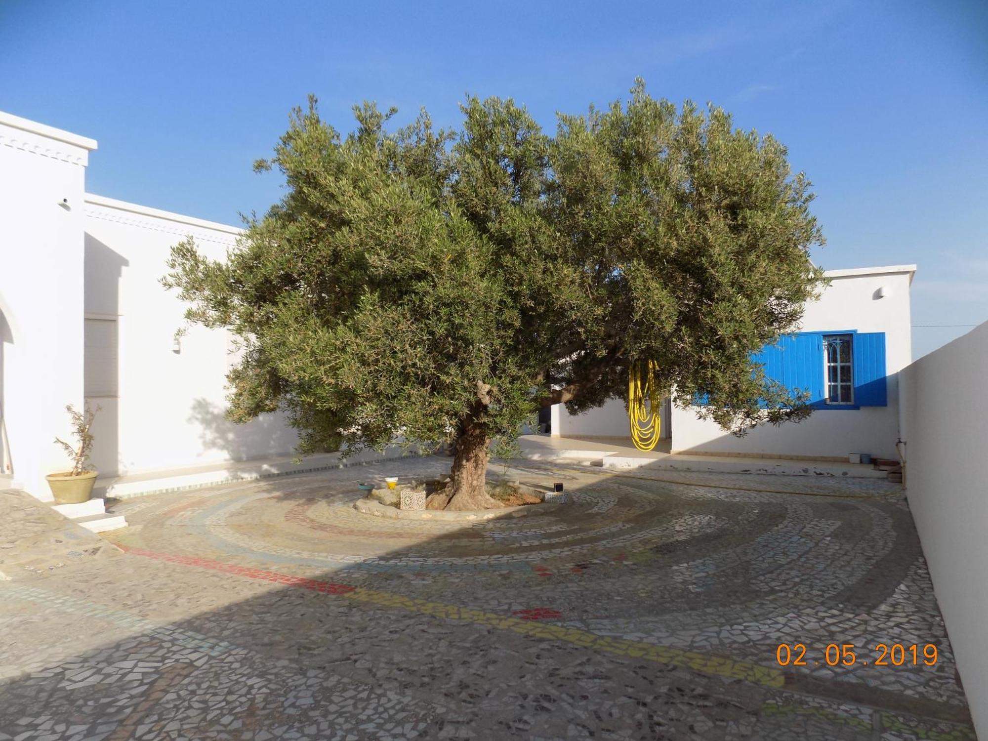مبيت وإفطار Sidi ash Shammakh Dar Mamina المظهر الخارجي الصورة