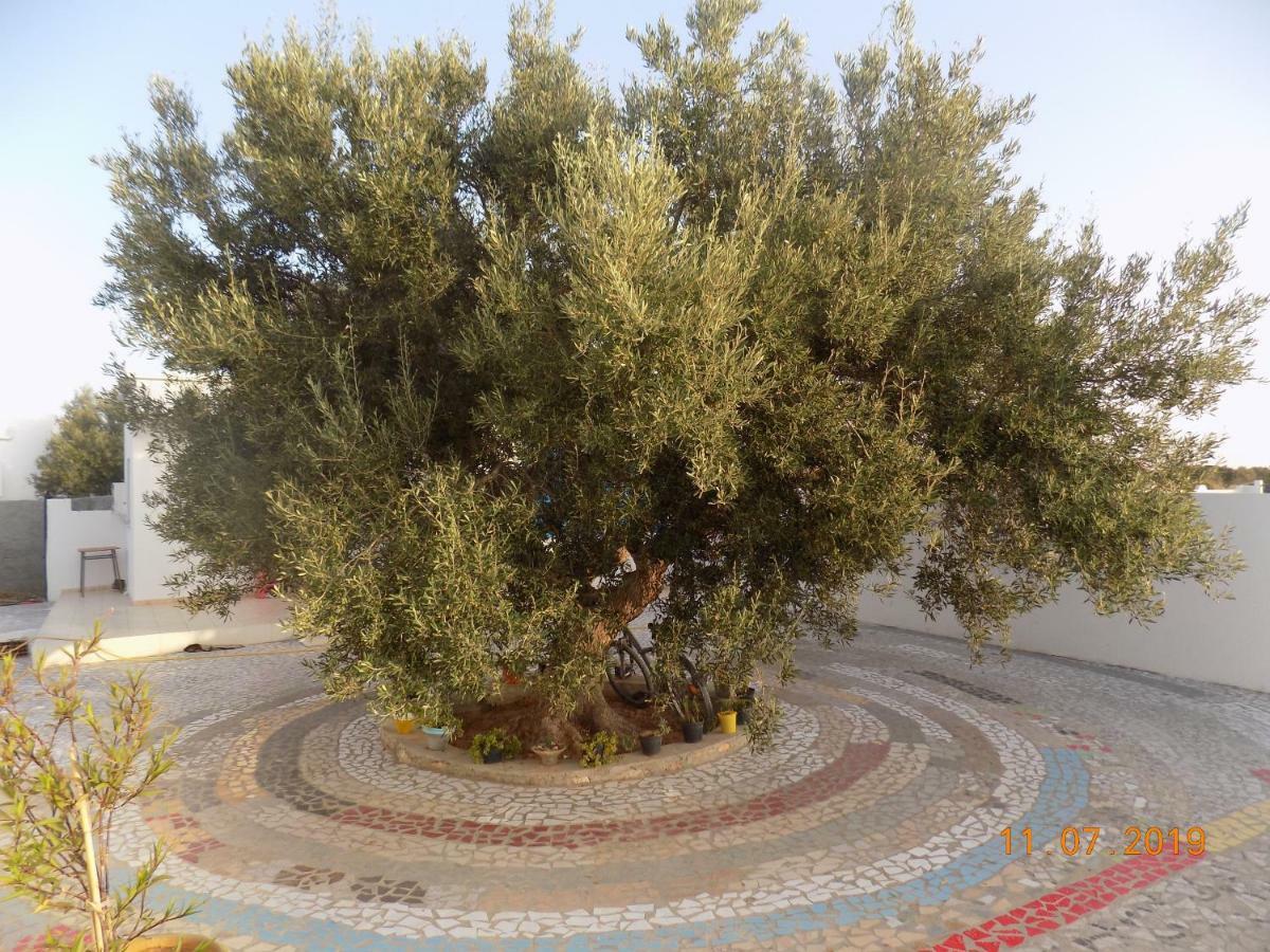 مبيت وإفطار Sidi ash Shammakh Dar Mamina المظهر الخارجي الصورة